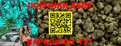 гидропоника Гусиноозёрск